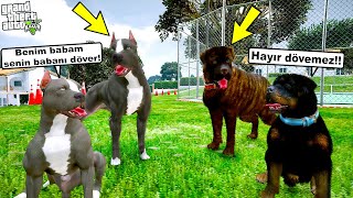 BABA PİTBULL VE BABA ROTTWEILER YAVRULAR YÜZÜNDEN KAVGA ETTİ! - GTA 5