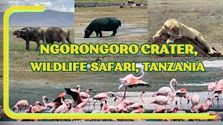 Ngorongoro Crater, Tanzania #travel #safari #adventure #africa