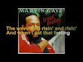 Marvin Gaye - Sexual Healing [Lyrics Audio HQ]