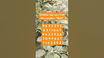 Observation Visual Test: 5 Seconds ForYou To Spot 9631. Try Your Skills! #search #puzzle #shorts