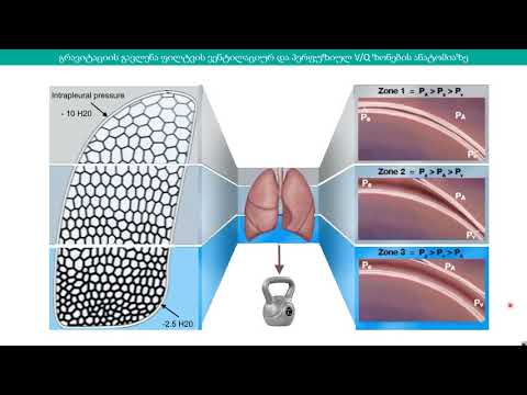 ფიზიოლოგია - COVID 19 ლექციები