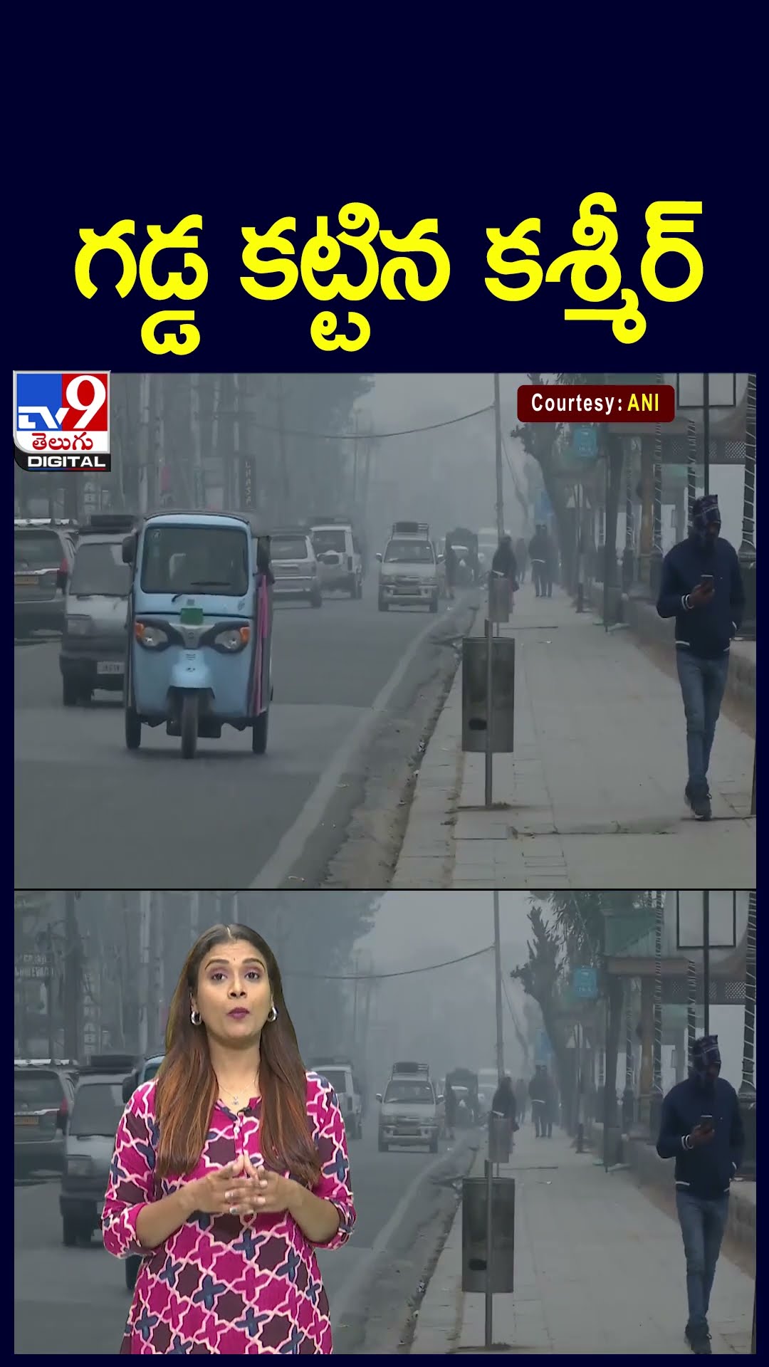 గడ్డ కట్టిన కశ్మీర్‌ - TV9