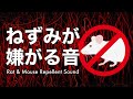 【超強力】ネズミが嫌がる音 超音波 モスキート音