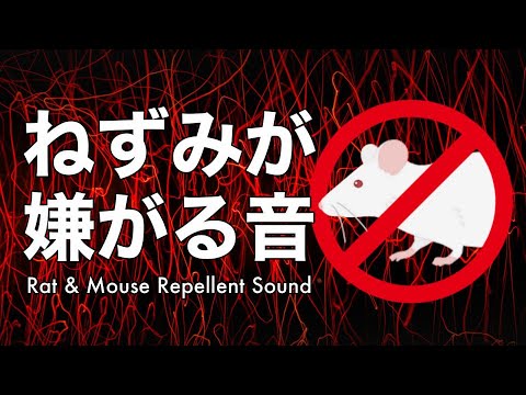 超強力 ネズミが嫌がる音 超音波 モスキート音 Youtube