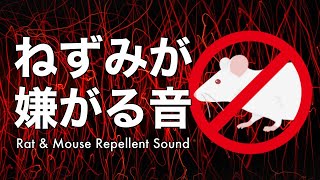 【超強力】ネズミが嫌がる音 超音波 モスキート音