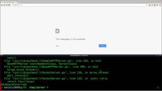 Setup a Webserver with Python   Linux Tutorials clip6