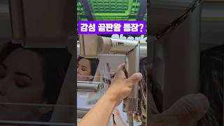 헤어스타일러 보자마자 끌렸던 이유｜샤크 플렉스타일 실물 느낌 그대로💇‍♀️