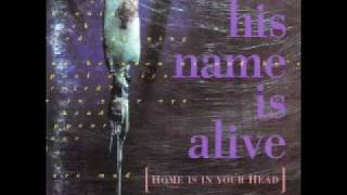 Video thumbnail of "His Name Is Alive "There's Something Between Us...".mov"