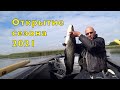 СОМ на КВОК. ТЕСТИРУЮ  эхолот LOWRANCE ELITE FS9.