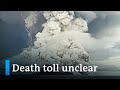 Tonga volcano: How much damage did it cause? | DW News