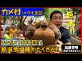 リクガメ1000匹!? カメの村 in タイ王国!ぶらっとのんびりリクガメ探し!Tortoise village in Thailand!≫ 加藤英明【公式】かとチャン