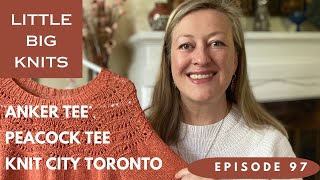 Episode 96  Anker Tee, Peacock Tee, Knit City Toronto! So Much Fun!