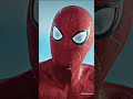 Spiderman🕸️🕸️