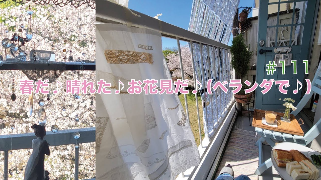 vol.111【春だ♪晴れた♪お花見だ♪】ベランダから見える一本桜で(笑)お花見しちゃお♡