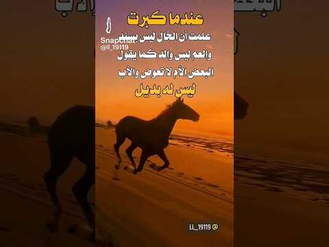 عندما كبرت علمت بأن الخال ليس بسند والعم ليس والد