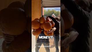 35 To Win This Pumpkin Challenge, Would You?