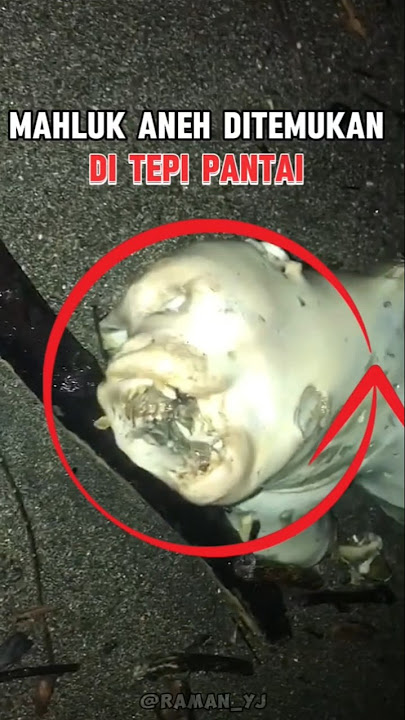 Seorang Wanita Tanpa Sengaja Menemukan Sosok Aneh Dan Menyeramkan Di Tepi Pantai