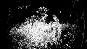 سورة النجم ترجمة فرنسية /sourate An'najm