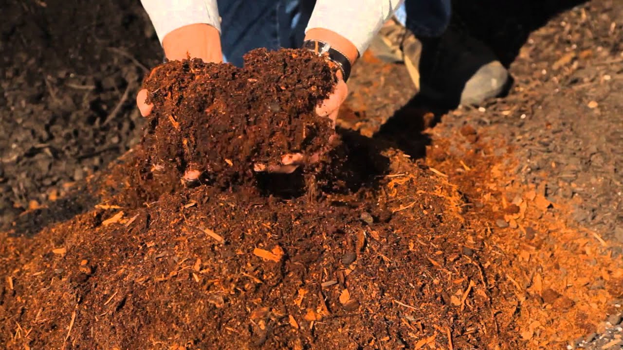 How to Amend Soil Without a Soil Test : Garden Savvy