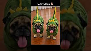CEO of Backyard Protection 🐾 | Funny Guard Dog Moment #puppy #shorts #shortvideo