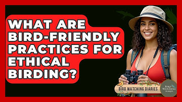 What Are Bird-friendly Practices For Ethical Birding? - Bird Watching Diaries