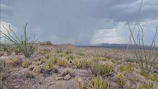 The start of a new trip to the ranch and some rain  @TimelineRanch(July 2026)