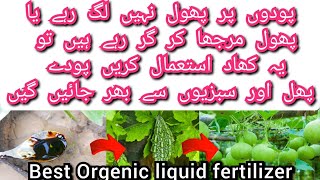 Best Orgenic Liquid fertilizer for Summer vegetables || Only 1 Teaspoon to get heavy fruiting ||