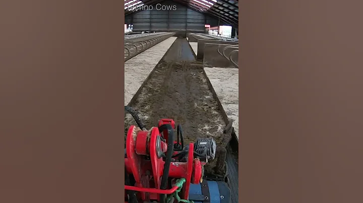 #how To Clean The Manure, Cowshed #cleaning With Powerful Tractor #farming #work #cow #agriculture