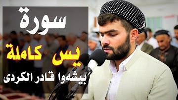 تلاوة مريحة و هادية جدا في سورة يس بصوت بيشةوا قادر الكردي