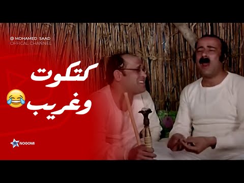 كتكوت ابو الليل لما تتناقش مع صاحبك الغبي شوف كتكوت عمل ايه مع غريب