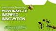 The Fascinating World of Biomimicry: Unveiling Nature's Secrets for Innovation ile ilgili video