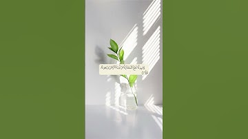 تلاوة تطهر قلبك 🌿 قرآن حالات واتس 🌿 من سورة طه