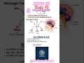 BRAIN 🧠 मस्तिस्क।3।#video #trending #viral #shortvideos #shorts #shortvideo
