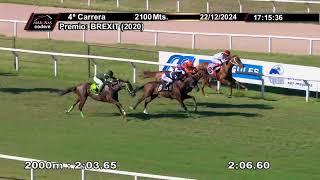 Vidéo de la course PMU PRIX BREXIT (2020)