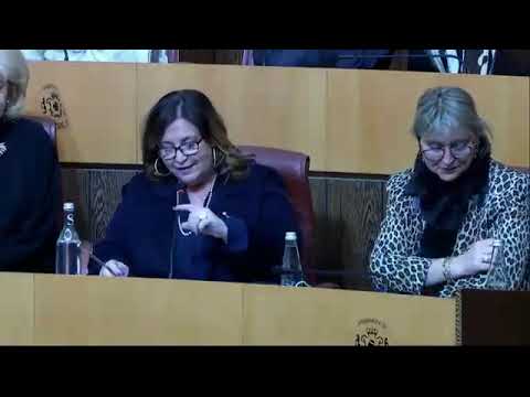 Image du reportage QO posée par Cathy COGNETTI-TURCHINI : politique forestière et stratégie collective filière bois (Groupe "Un Soffiu Novu" à l'Assemblée de Corse)