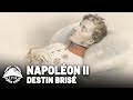 Le destin bris de laiglon  la petite histoire  tvl