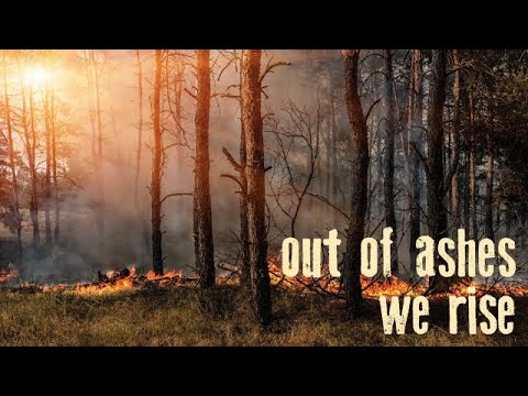 Out Of Ashes We Rise From The Sin Of Self Youtube
