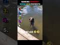 Ranking funniest water dog moments! #animals#funny#dogs #funnydogs#funnyanimals#viralvideos#memes