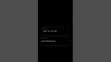 Laravel Developer 🤣
