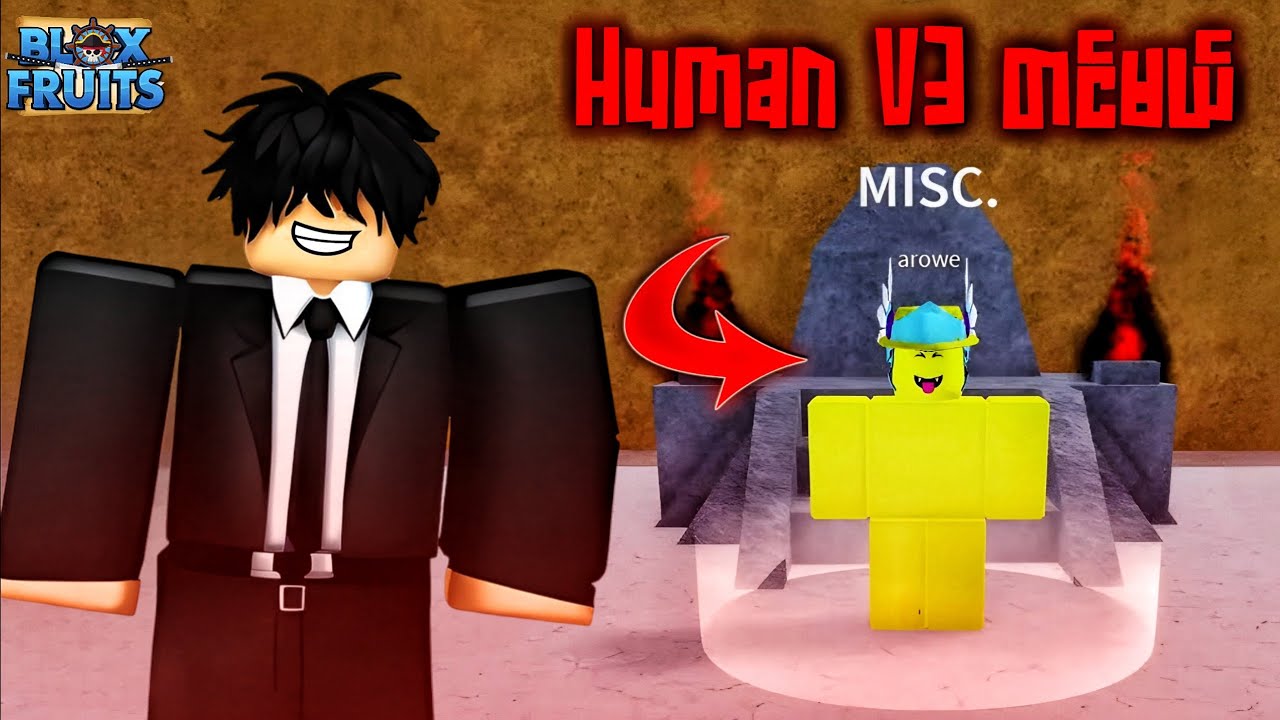 ကျွန်တော် Arowe ဆီမှာ Human race V3 တင်ခဲ့တယ် | Bloxfruits ( Roblox ) KA1DO