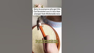 Revolutionize Your Cat