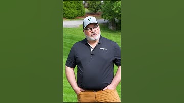 Turf Type Tall Fescue: The Best Mowing Height for Summer