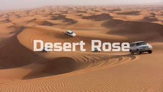 Sting - Desert Rose (Aziza Qobilova & Kasimoff | Diezz) Remix Resimi