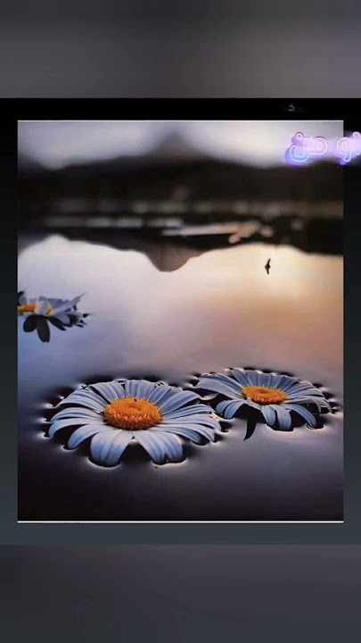 فوائد فيتامين ه‍ـ #shorts