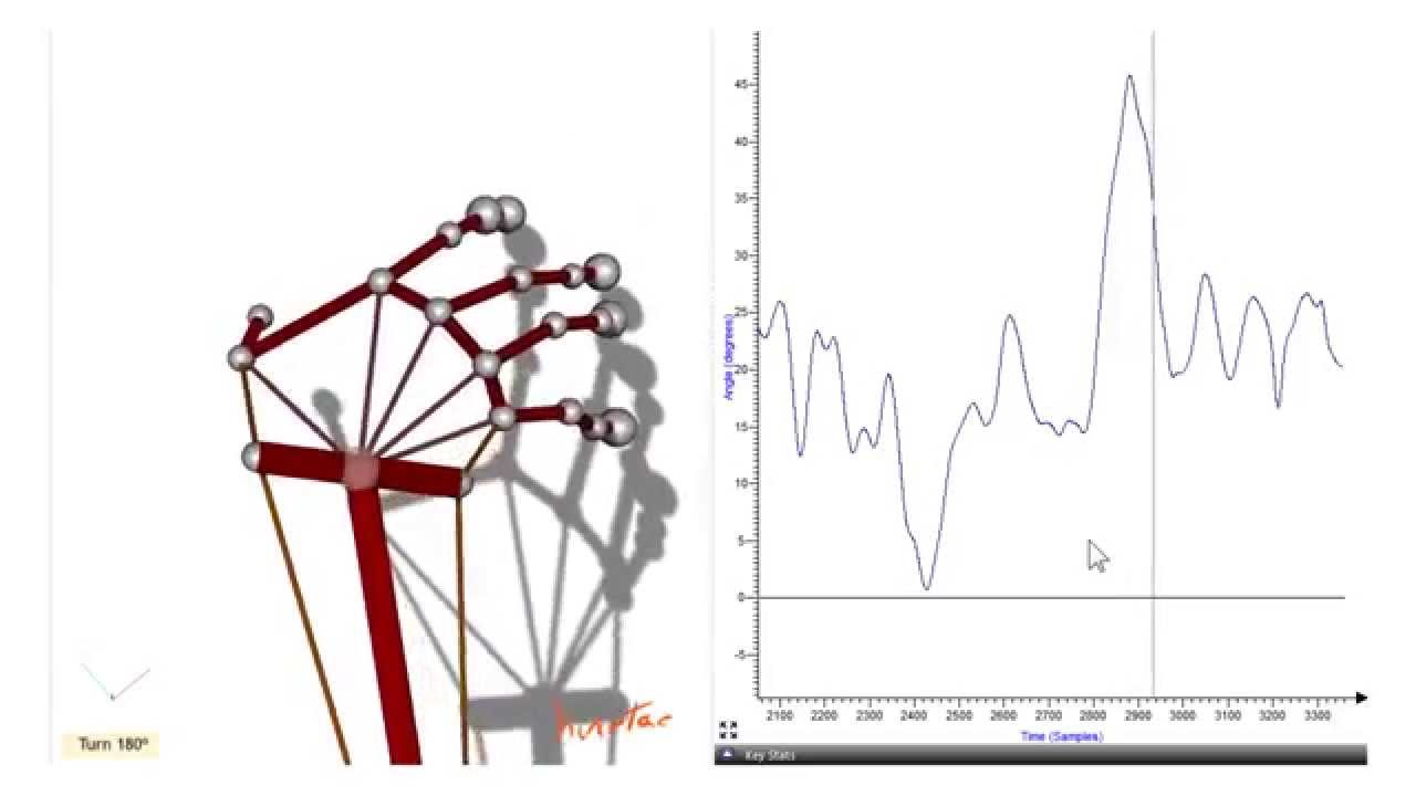 Exploración articular de la extremidad superior biomechanics of ankle joint