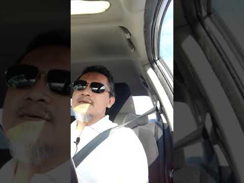 Apa TU Market