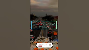 #سورة_البقرة والذين كفروا أوليؤهم الطاغوت يخرجونهم من النور إلى الظلمات