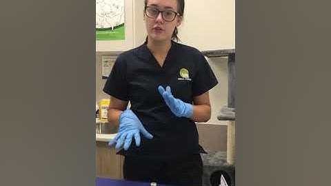 Loading syringe from multi-dose vial