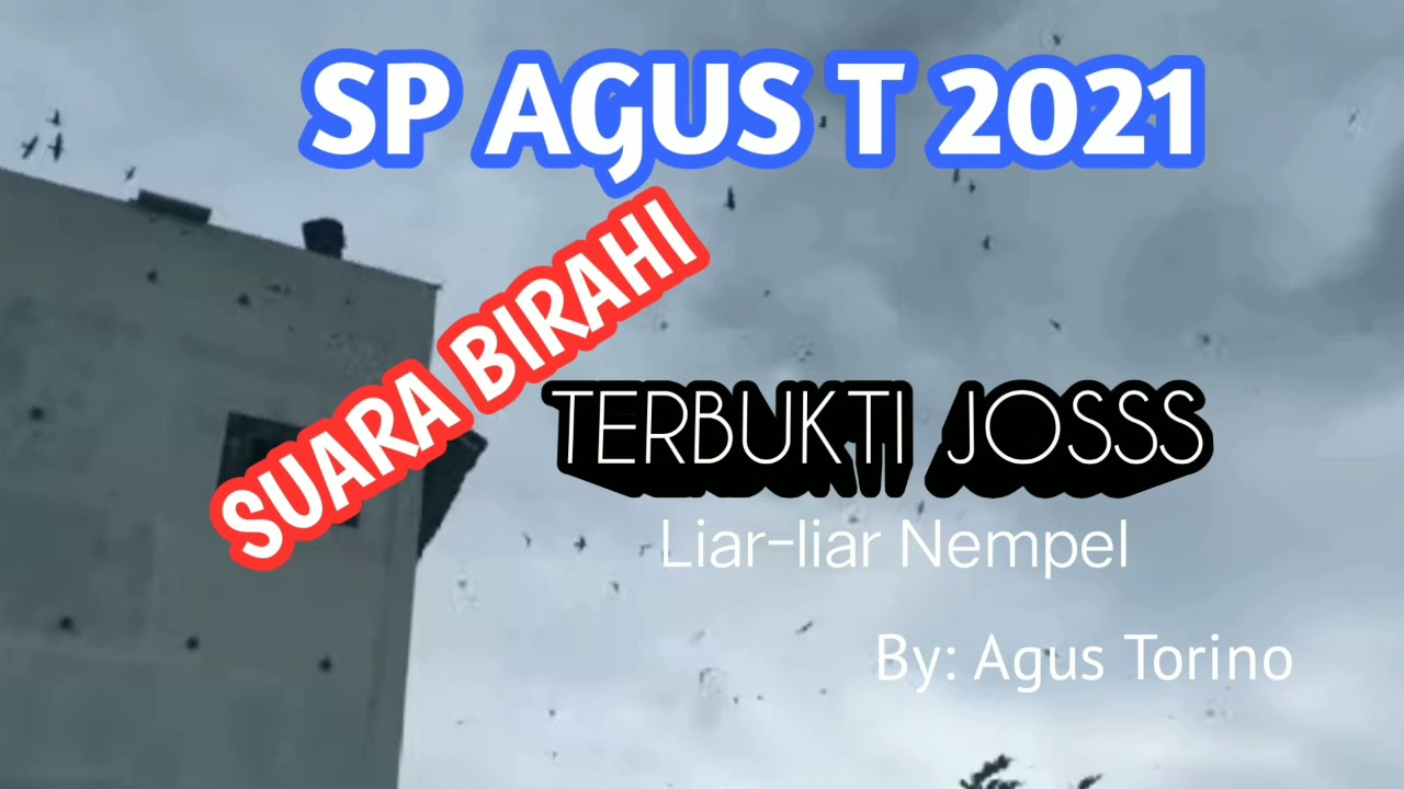 SP AGUS T 2021-SUARA PANGGIL WALET BIRAHI