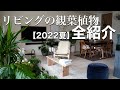 室内の観葉植物 全部紹介します！【2022年夏】